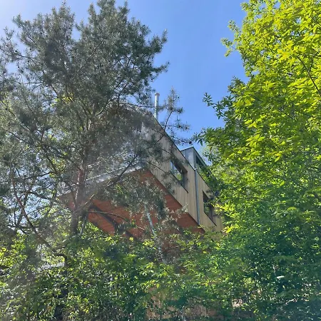 Baumwipfelhaus