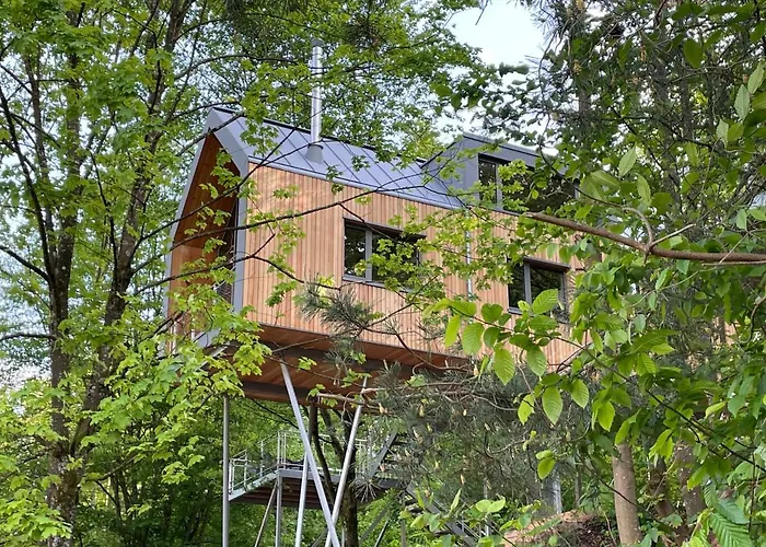 Baumwipfelhaus Tatil Evi Annweiler am Trifels